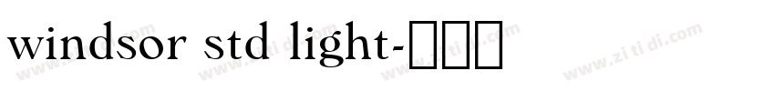 windsor std light字体转换